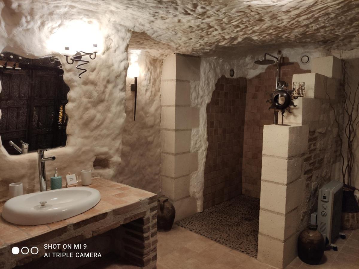 アゼ・ル・リドー Troglodelice Bed & Breakfast エクステリア 写真